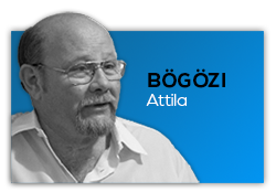 bogozi